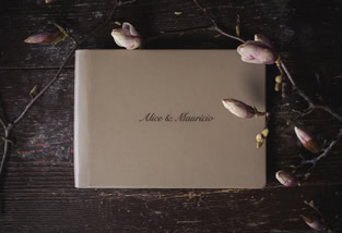 wedding album